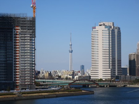 IMG_0908.JPG